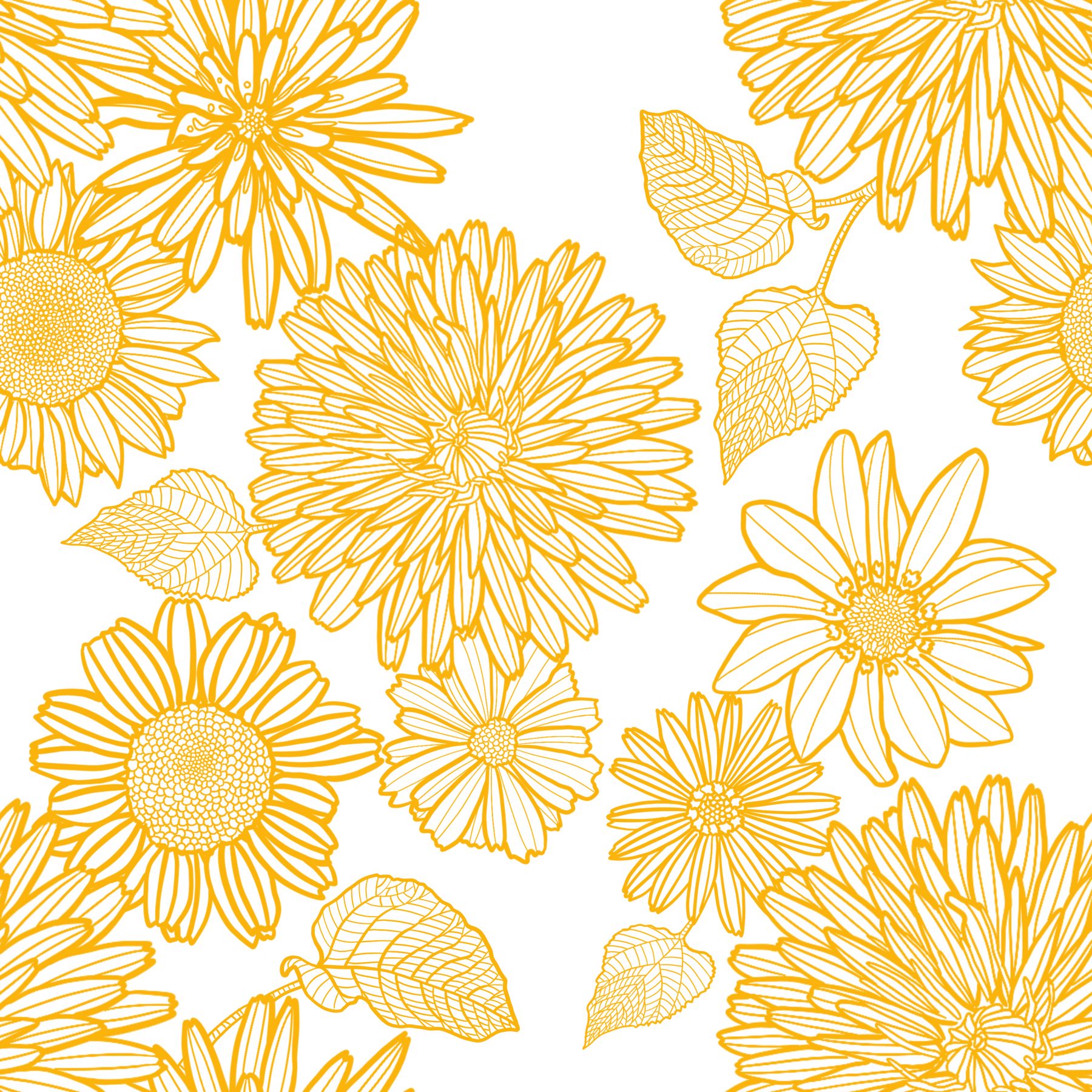 Various Yellow Flowers Illustration 