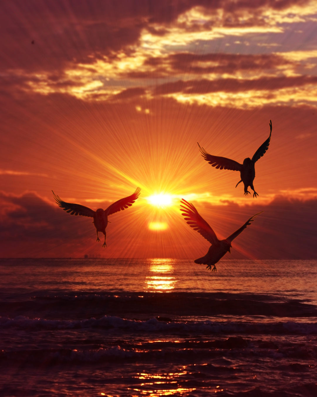 Birds Flying in the Beach Sunset